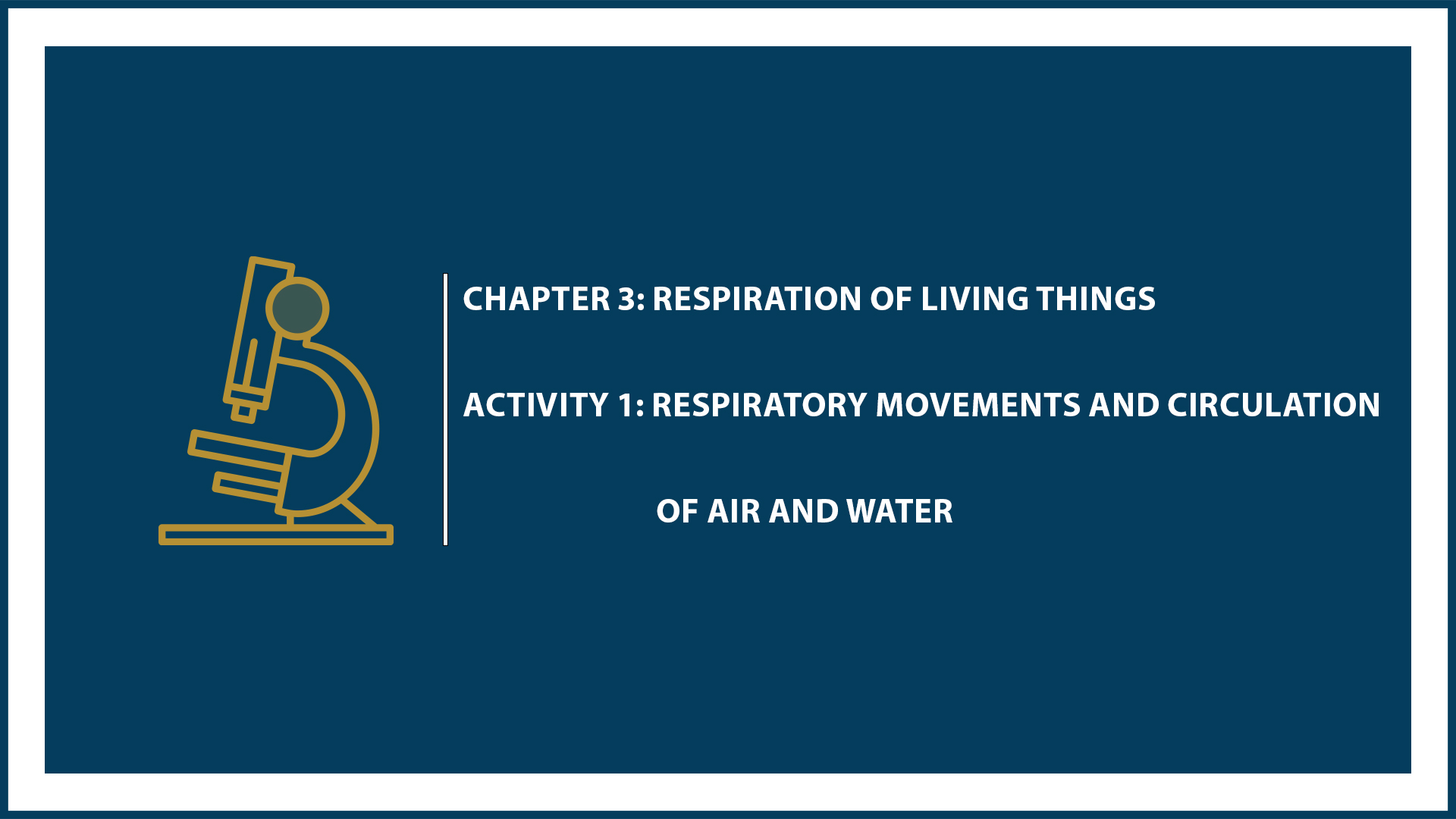 Chapter 3: Activity 1: Respiratory Movements and Circulation of Air and Water